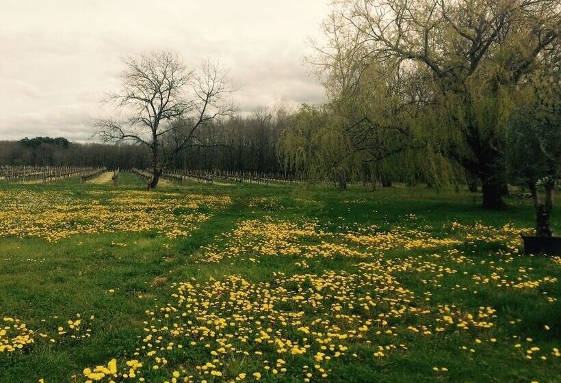 膳宿费 Chateau La Maronne