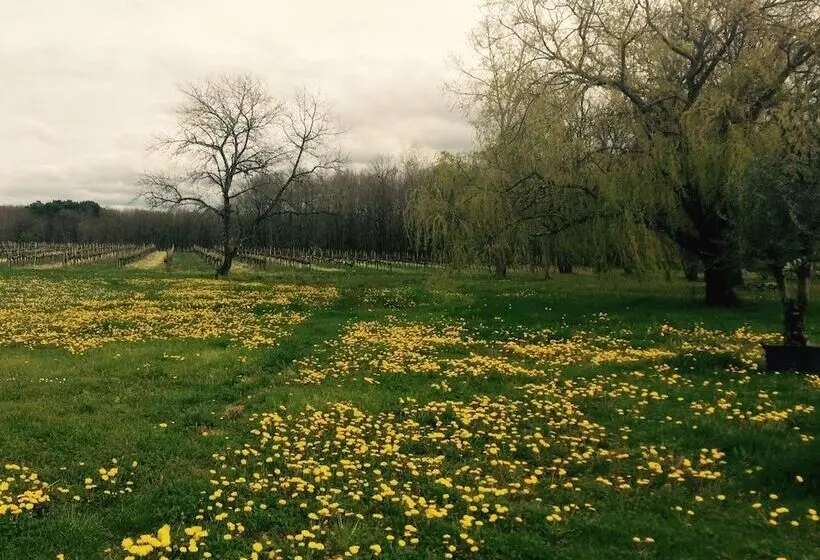 Majatalo Chateau La Maronne