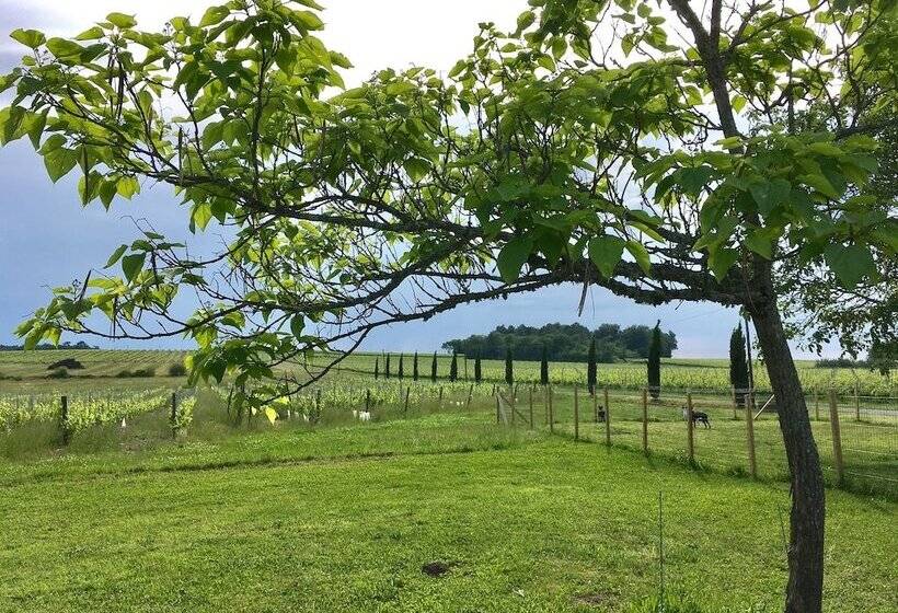 膳宿费 Chateau La Maronne