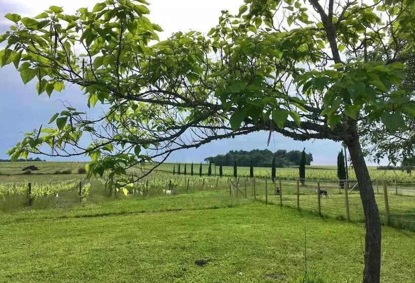 Majatalo Chateau La Maronne