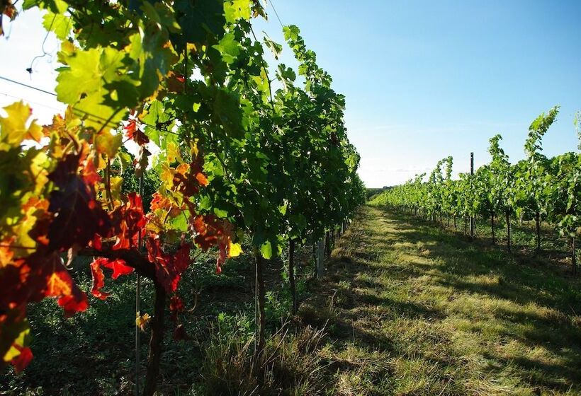 膳宿费 Chateau La Maronne