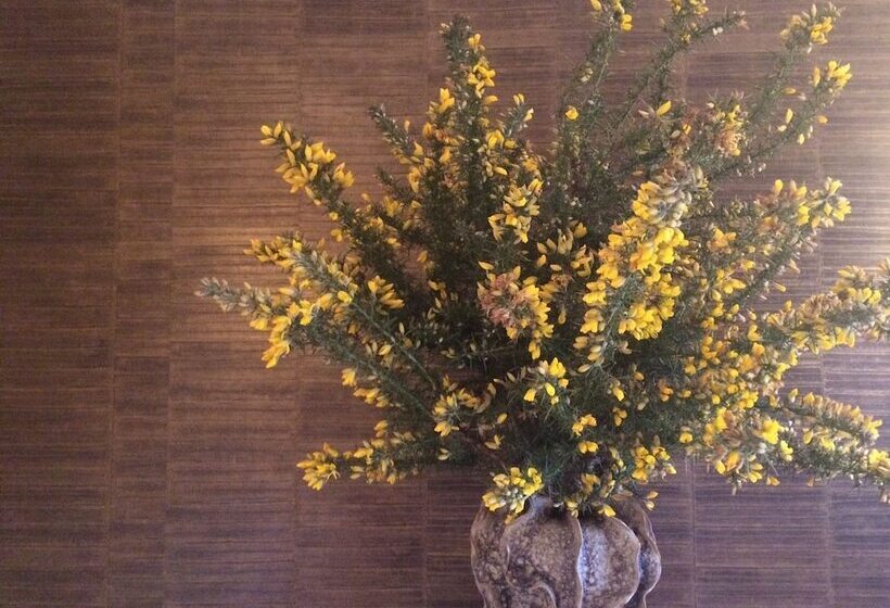 膳宿费 Chateau La Maronne