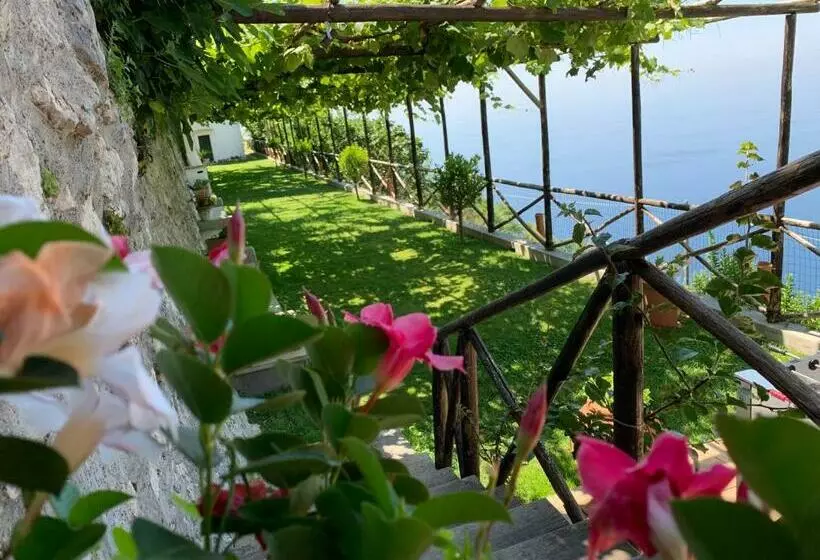 پانسیون Country House Sant Alfonso