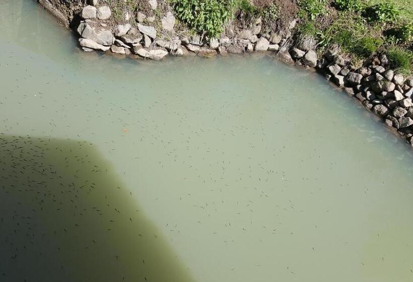 پانسیون Korond Mako Panzio