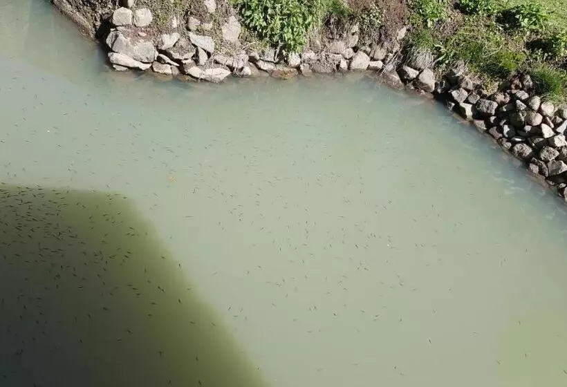 Majatalo Korond Mako Panzio