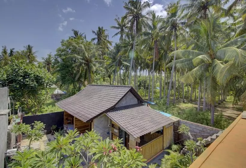 Majatalo Linas Villas