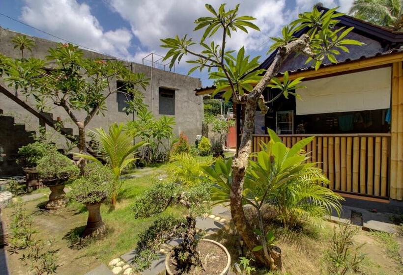 Пансион Linas Villas