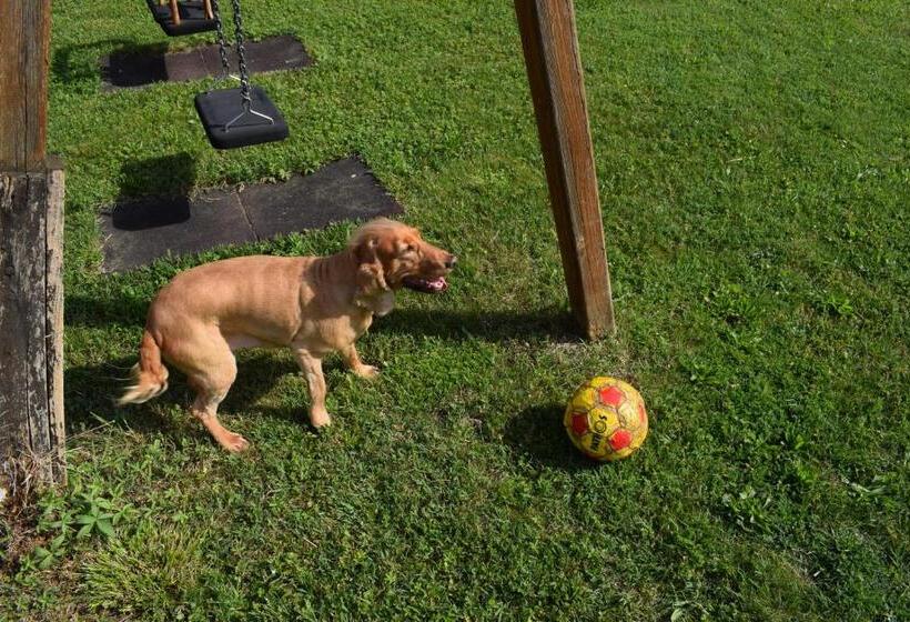 호텔 Agriturismo Mulino Bianco