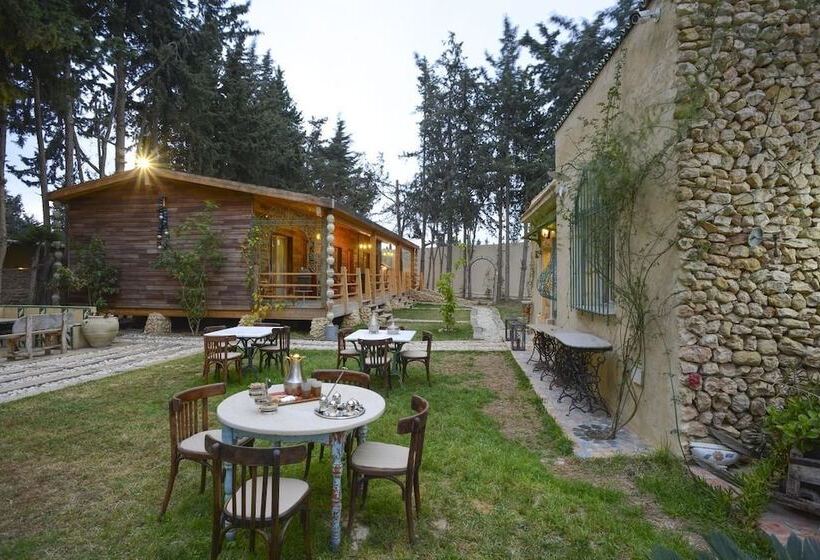 Pensió Carthage Hill