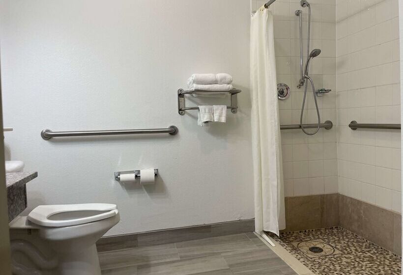 호텔 Best Western Roanoke Inn & Suites