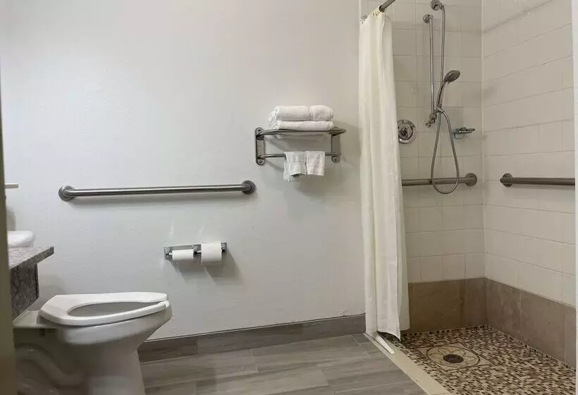 Отель Best Western Roanoke Inn & Suites