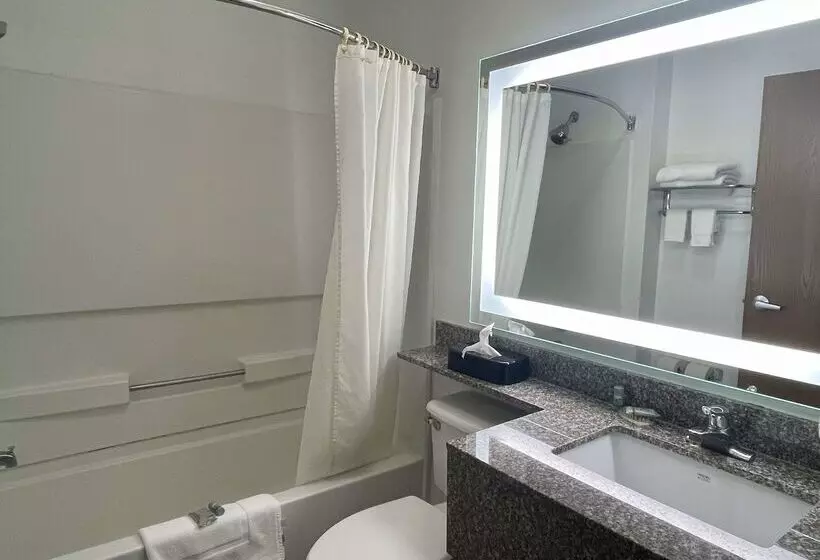 Отель Best Western Roanoke Inn & Suites