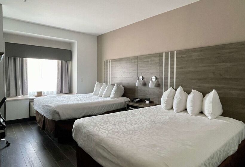 호텔 Best Western Roanoke Inn & Suites