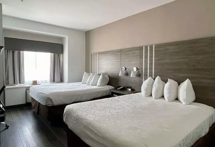 Отель Best Western Roanoke Inn & Suites