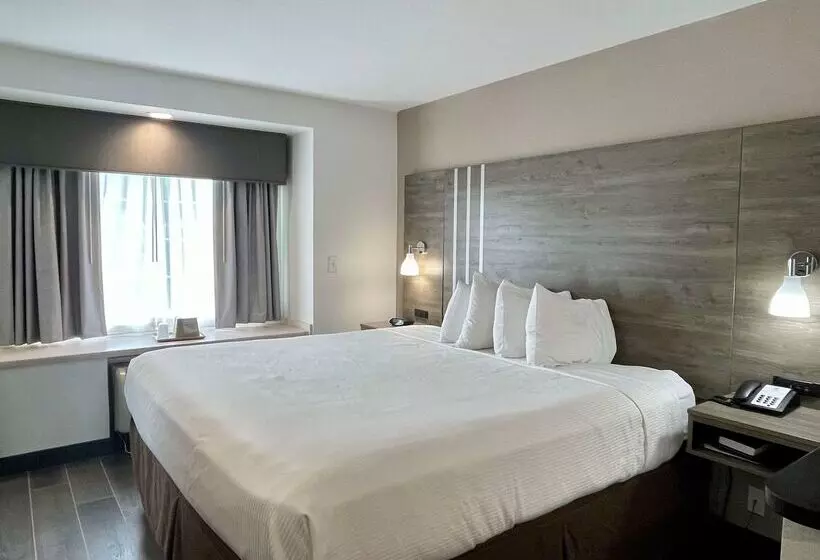 Отель Best Western Roanoke Inn & Suites