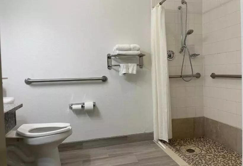 Отель Best Western Roanoke Inn & Suites