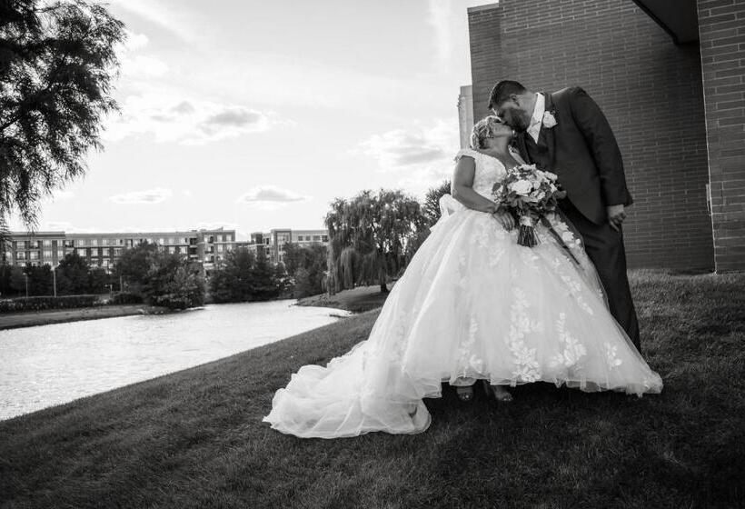 בית מלון כפרי Chicago Marriott Southwest At Burr Ridge