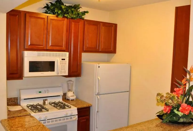 בית מלון כפרי Club De Soleil Allsuite Resort