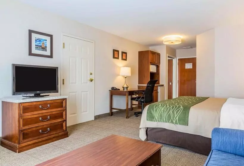 هتل Comfort Inn & Suites