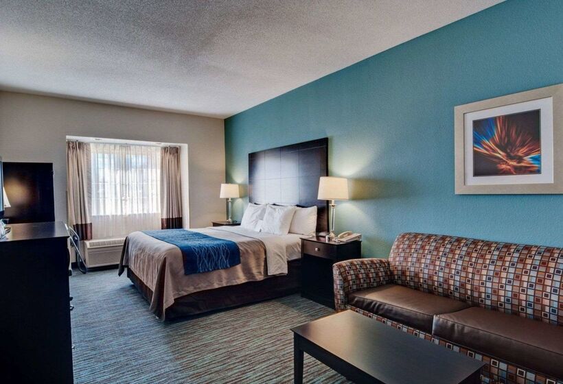 酒店 Comfort Inn Mount Airy