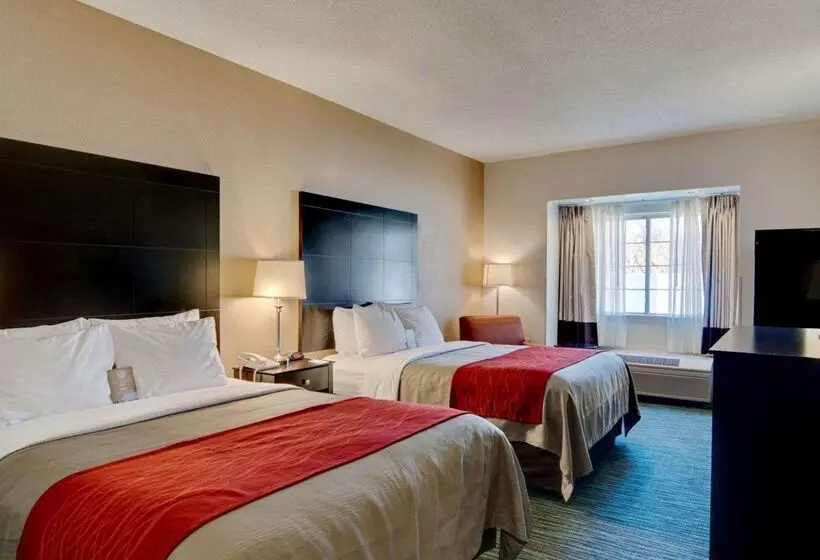 酒店 Comfort Inn Mount Airy