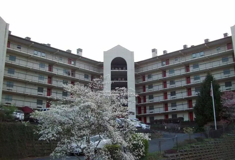 ホテル Gatlinburg Chateau Rentals