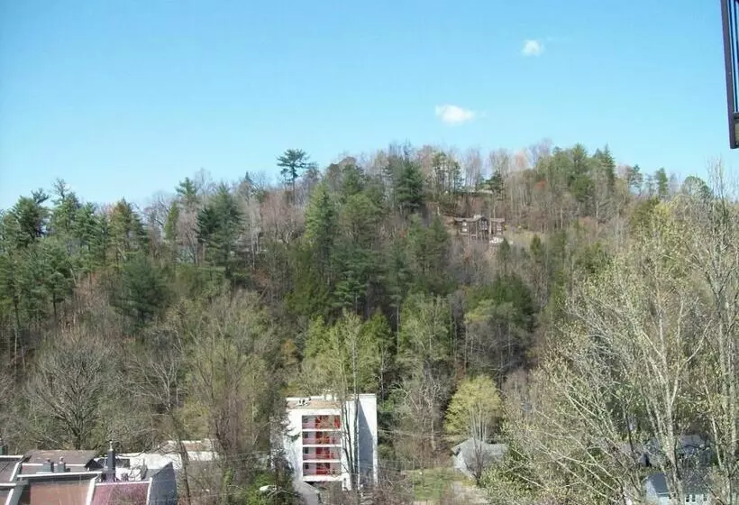 ホテル Gatlinburg Chateau Rentals