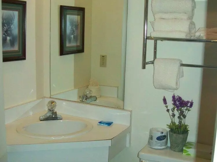 ホテル Gatlinburg Chateau Rentals
