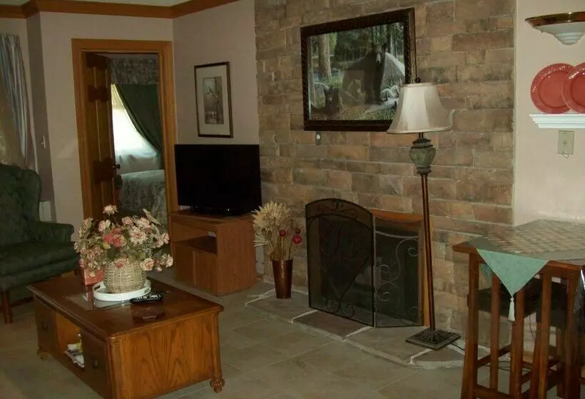 ホテル Gatlinburg Chateau Rentals