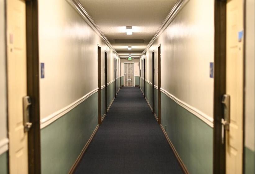 فندق Hollywood Stars Inn