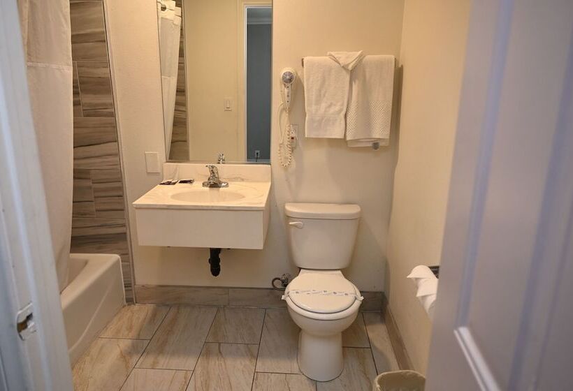 فندق Hollywood Stars Inn