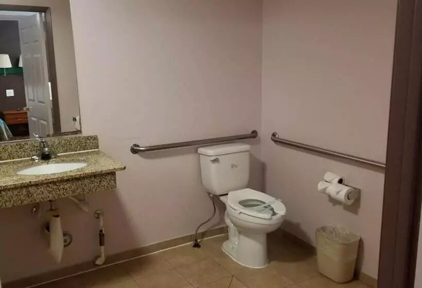 هتل Hollywood Stars Inn