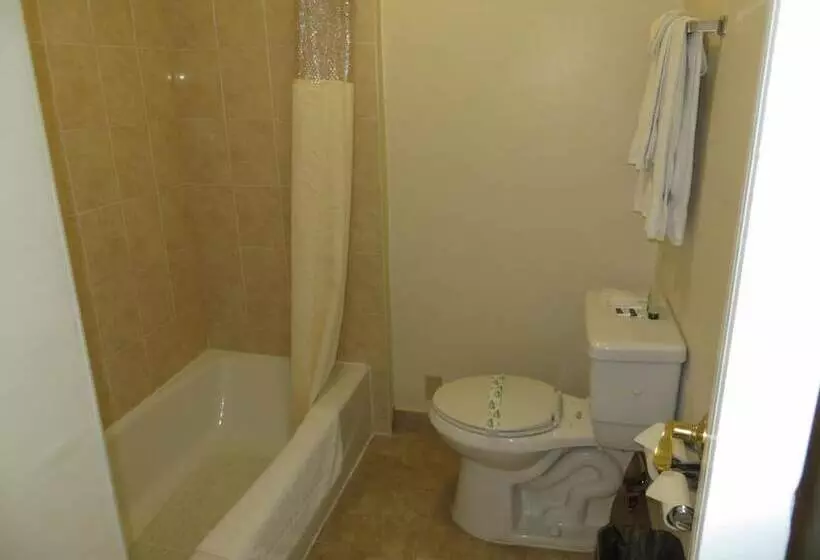 هتل Hollywood Stars Inn