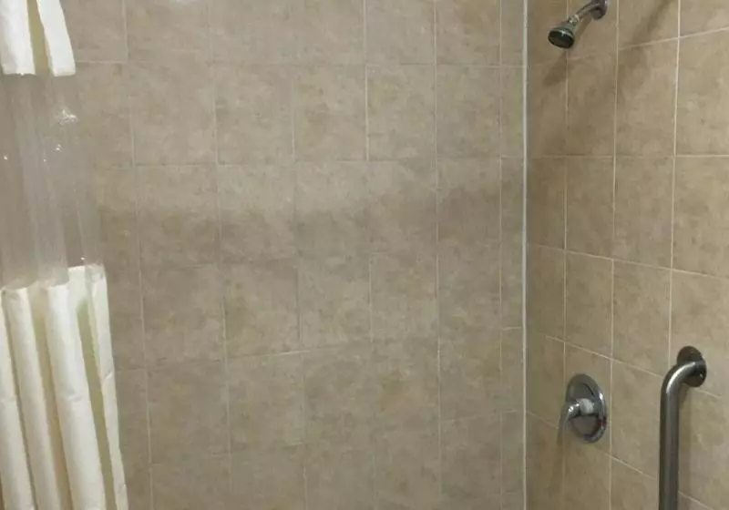 هتل Hollywood Stars Inn