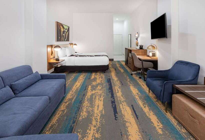 هتل La Quinta Inn & Suites By Wyndham Pharr Rgv Medical Center