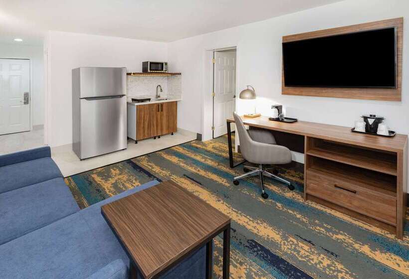 هتل La Quinta Inn & Suites By Wyndham Pharr Rgv Medical Center