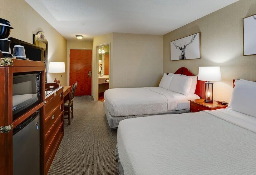 فندق Stoney Creek Lnn Galena