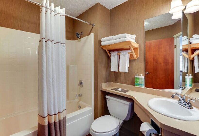 فندق Stoney Creek Lnn Galena