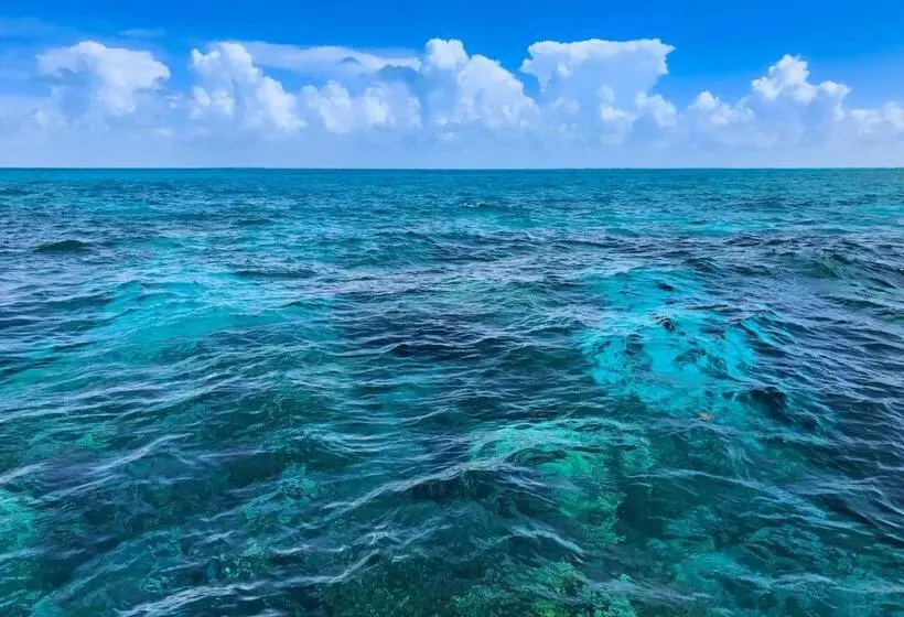 호텔 Sunrise Suites