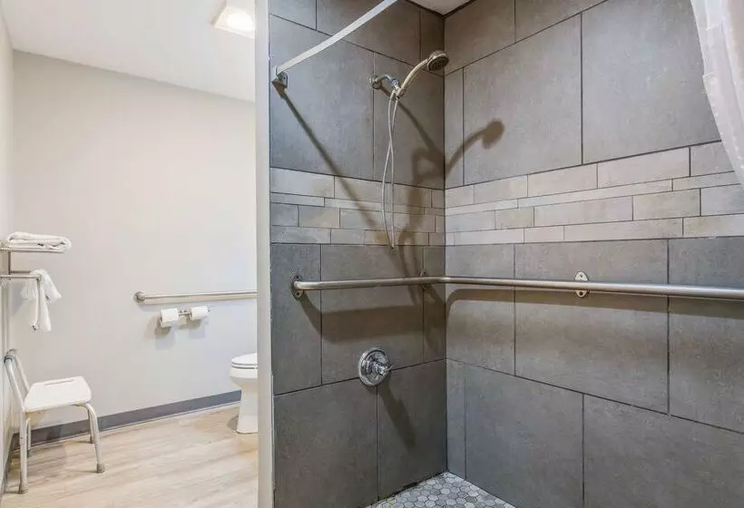 Surestay Plus Hotel By Best Western Sevierville