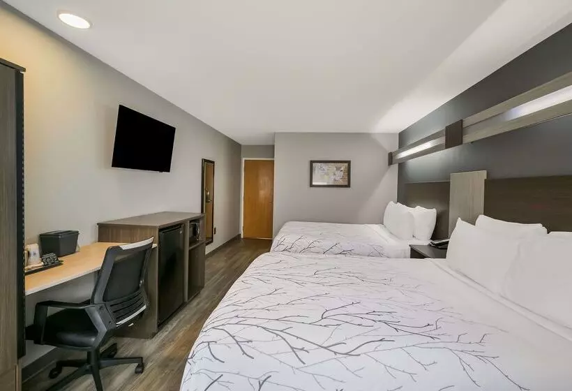 Surestay Plus Hotel By Best Western Sevierville