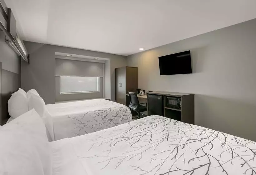 Surestay Plus Hotel By Best Western Sevierville