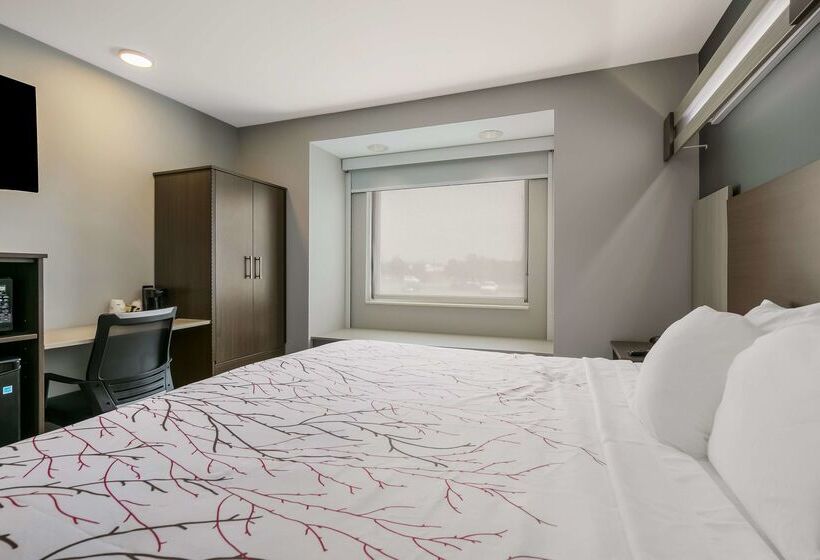 Surestay Plus Hotel By Best Western Sevierville