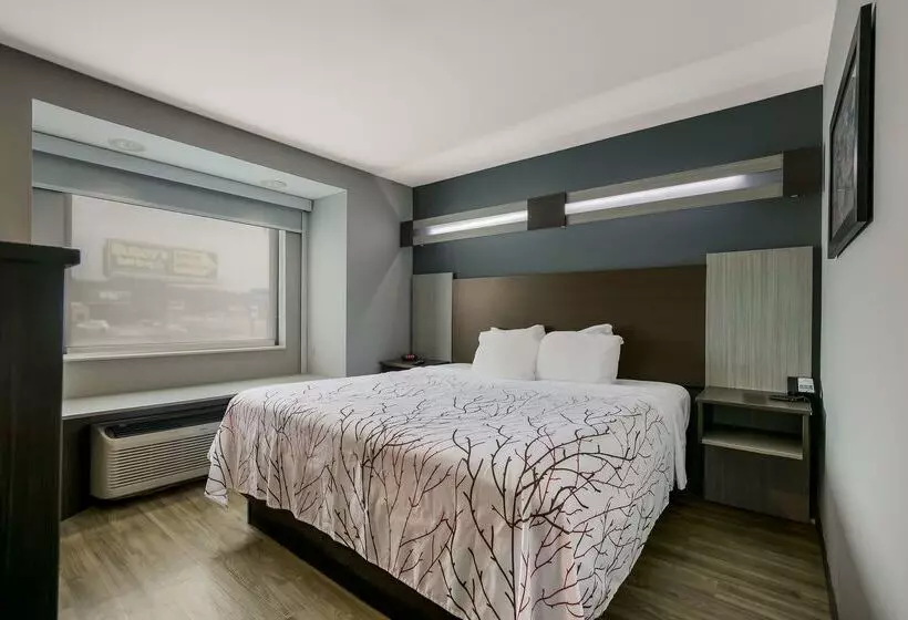 Surestay Plus Hotel By Best Western Sevierville