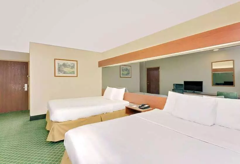 Microtel Inn & Suites By Wyndham Augusta/riverwatch