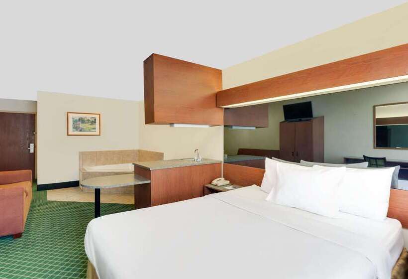 Microtel Inn & Suites By Wyndham Augusta/riverwatch
