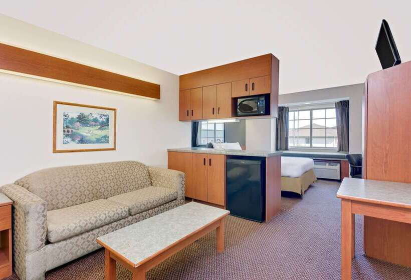 Microtel Inn & Suites By Wyndham Augusta/riverwatch