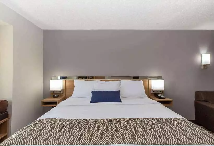 Microtel Inn & Suites By Wyndham Augusta/riverwatch