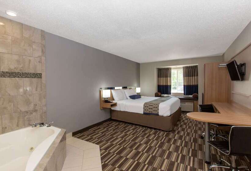 Microtel Inn & Suites By Wyndham Augusta/riverwatch