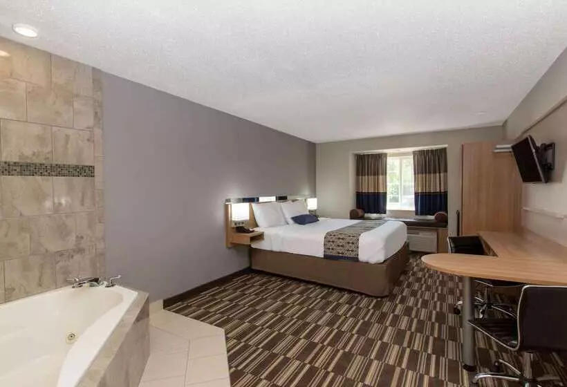 Microtel Inn & Suites By Wyndham Augusta/riverwatch